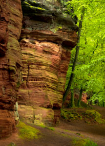 Deutschland, Rheinland-Pfalz, Naturpark Pfälzer Wald, Eppenbrunn, Altschlossfelsen aus Buntsandstein Deutschland, Rheinland-Pfalz, Naturpark Pfälzer Wald, Eppenbrunn, Altschlossfelsen aus Buntsandstein